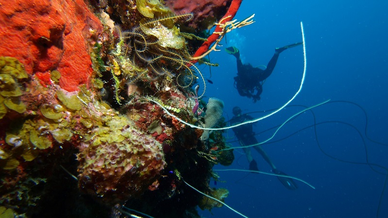 Nautische Aktivitäten in Las Tunas Nautische Aktivitäten in Las Tunas